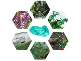 NEW Bird Netting