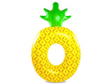 Pool Float