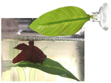 Betta Bed Leaf Hammock