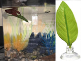 Betta Bed Leaf Hammock