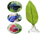 Betta Bed Leaf Hammock