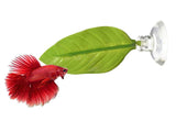 Betta Bed Leaf Hammock