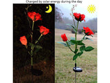 Solar Lights