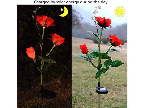 Solar Lights