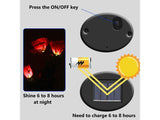 Solar Lights