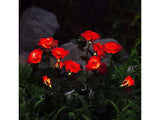 Solar Lights