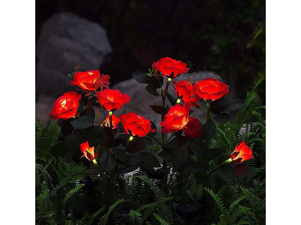 Solar Lights