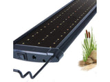 Fish Tank Aquarium Light
