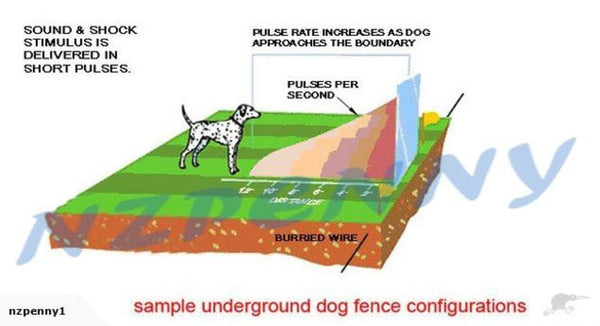 PET DOG FENCE SYSTEM Dog Fencing