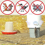 Chicken Feeder with Rat Stopper Caps