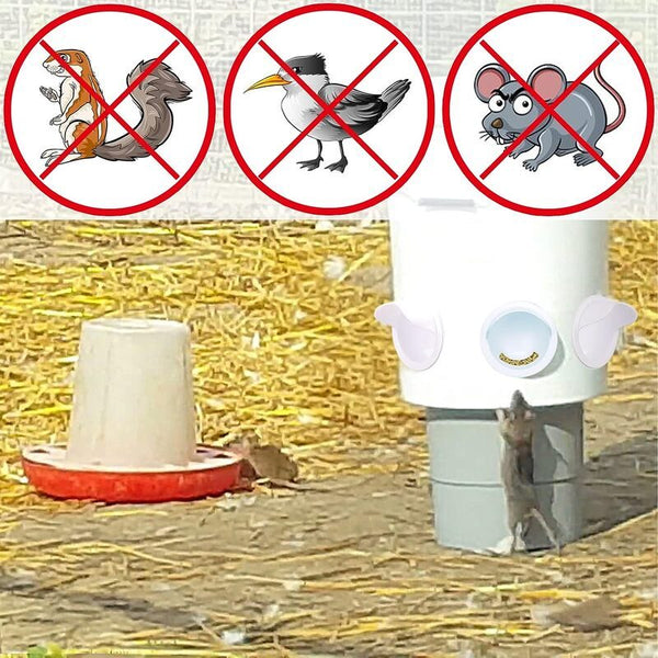 Chicken Feeder with Rat Stopper Caps