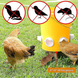 Chicken Feeder with Rat Stopper Caps