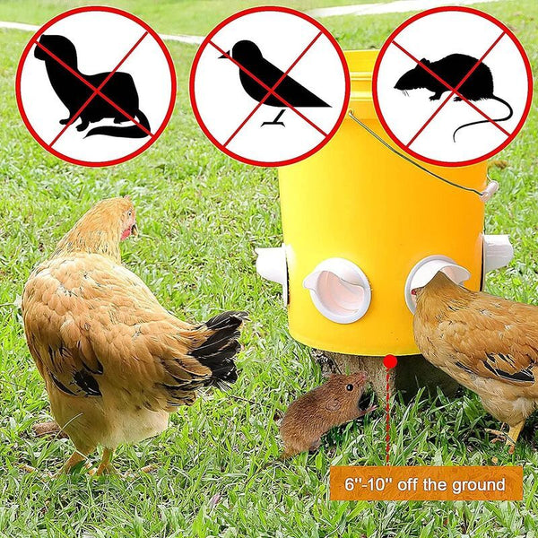 Chicken Feeder with Rat Stopper Caps
