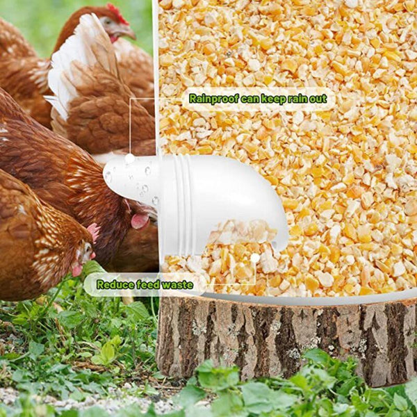 Chicken Feeder with Rat Stopper Caps