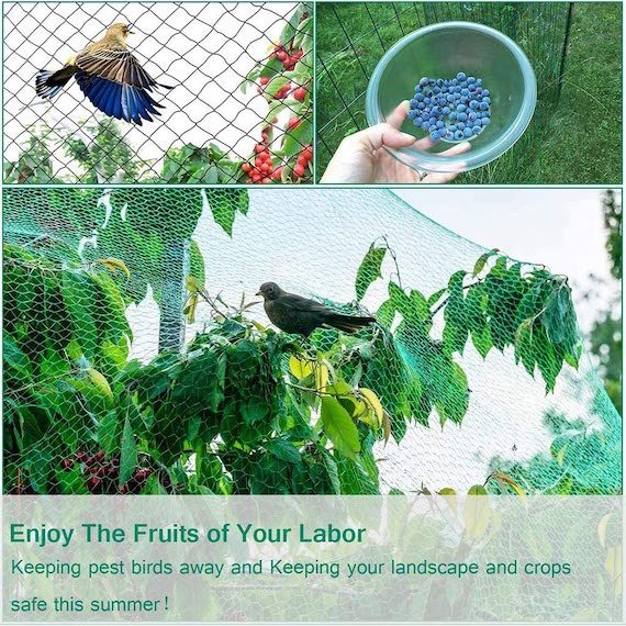 NEW Bird Netting