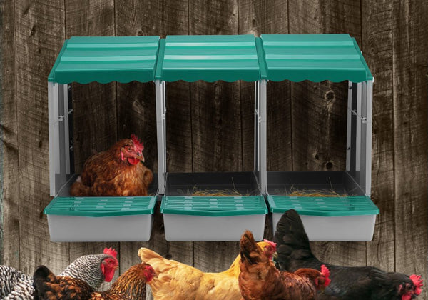Chicken Nesting Box