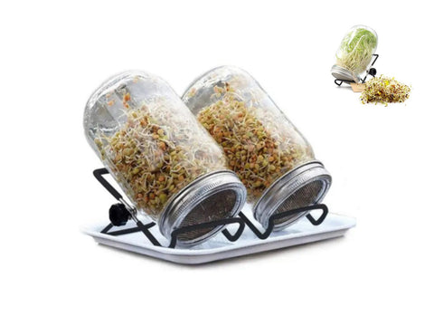Complete Seed Sprouting Kit for Sprouting Seeds Broccoli Beans