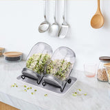 Complete Seed Sprouting Kit for Sprouting Seeds Broccoli Beans