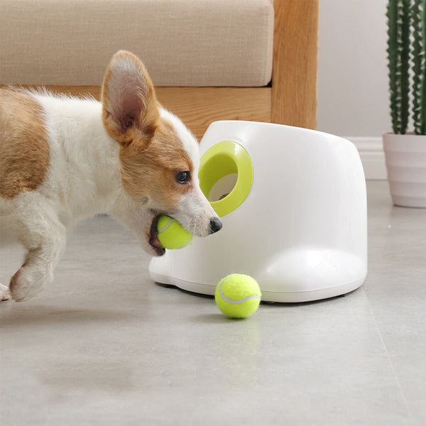 Dog Ball Launcher Thrower Automatic Tennis Fetch Throwing Machine with 3 Balls