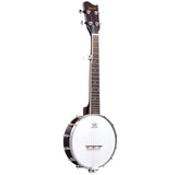 5 String Banjo Music Instrument String Picks