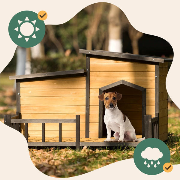 Dog House,Dog Kennel