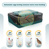 Egg Incubator