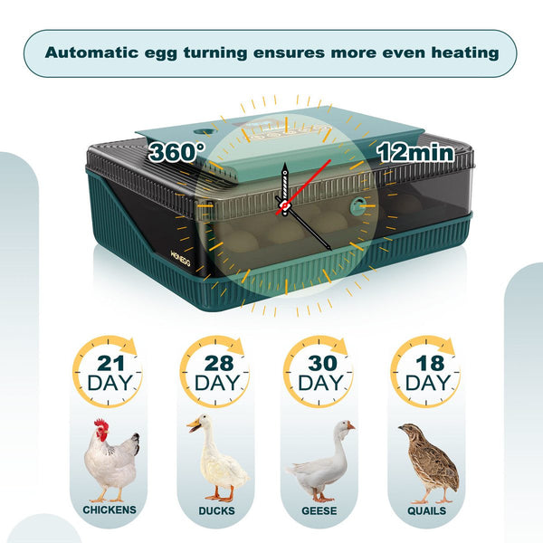 Egg Incubator