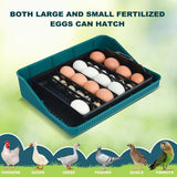 Egg Incubator