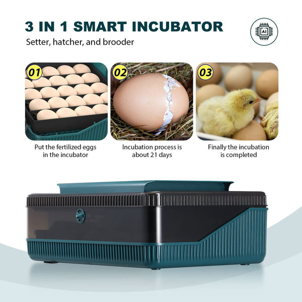 Egg Incubator