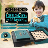 Egg Incubator