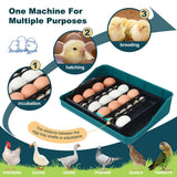 Egg Incubator