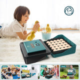 Egg Incubator