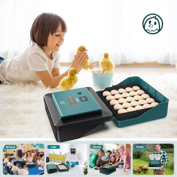 Egg Incubator