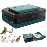 Egg Incubator