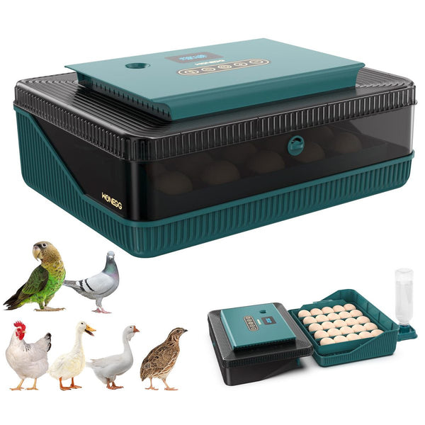 Egg Incubator