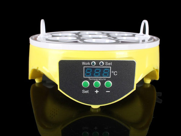 Automatic Egg Incubator