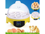 Automatic Egg Incubator