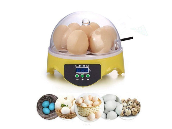 Automatic Egg Incubator