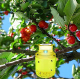 Flies Killer Fly Trap