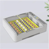 36 Egg Incubator