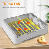 36 Egg Incubator
