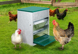 Automatic Chicken Feeder