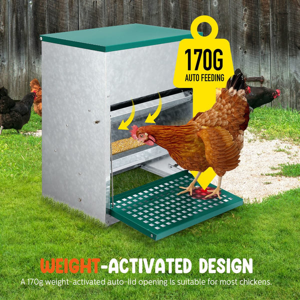 Automatic Chicken Feeder