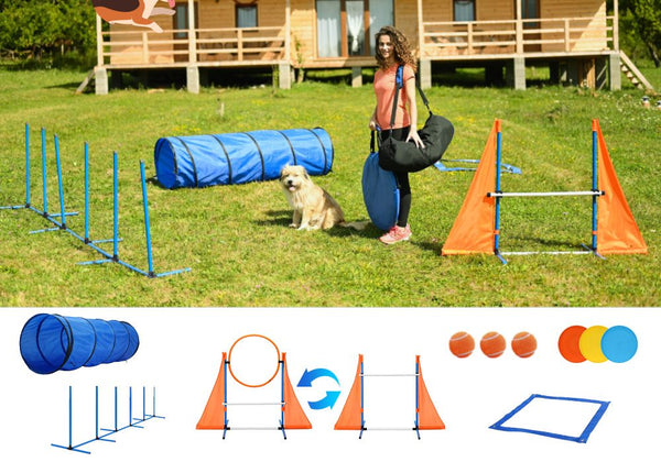 Dog Agility Equipment