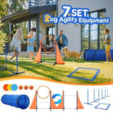 Dog Agility Equipment