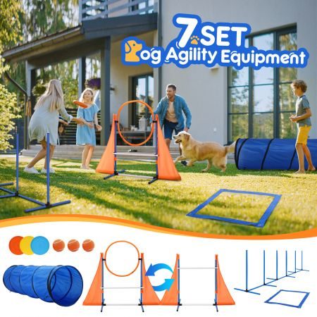 Dog Agility Equipment