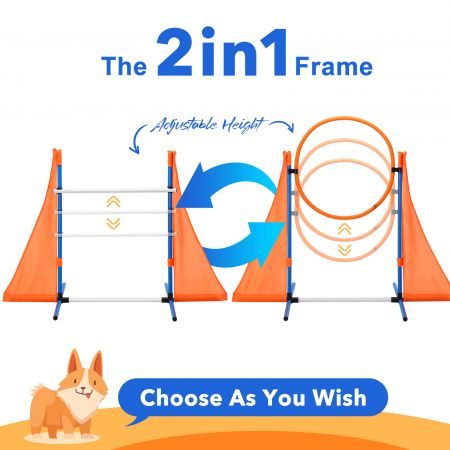 Dog Agility Equipment