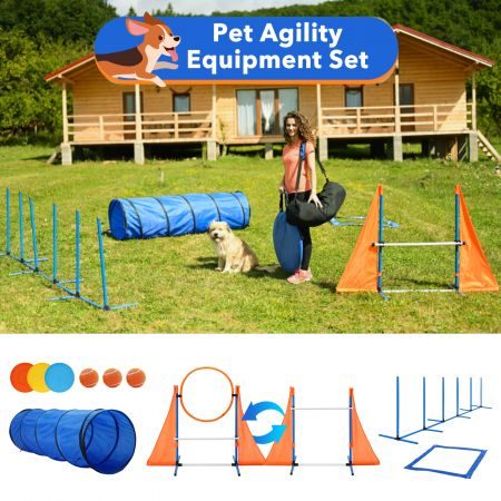 Dog Agility Equipment