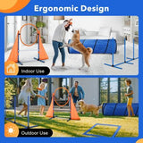 Dog Agility Equipment