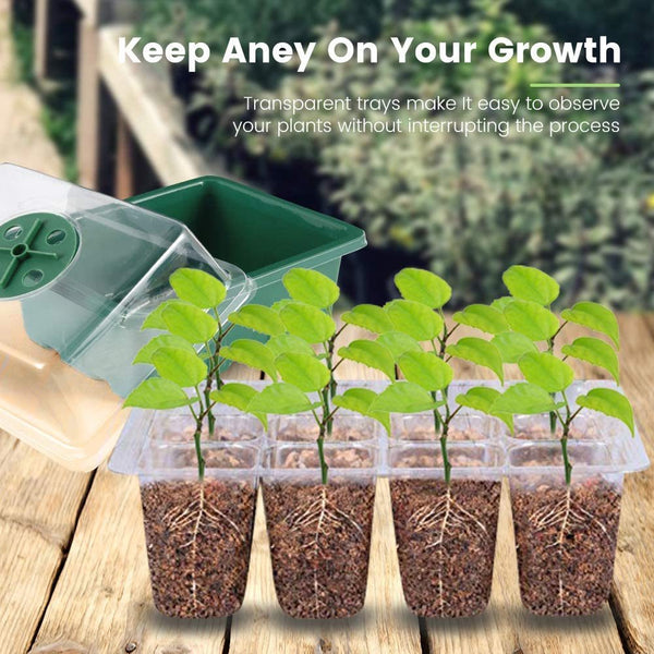 Garden Seed Starter Tray